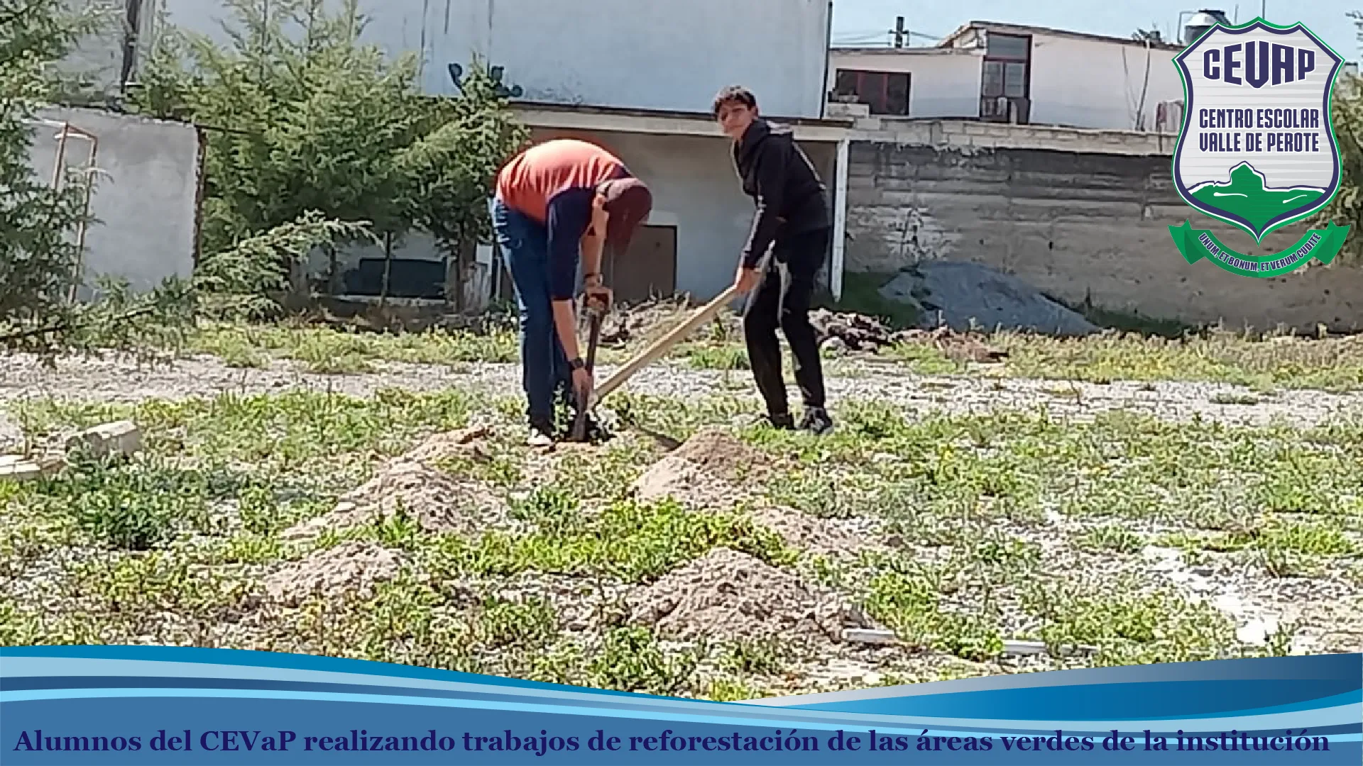 Alumnos del CEVaP preparando el terreno para plantar árboles